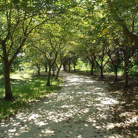 Elvis Bnb Incheon Dış mekan fotoğraf