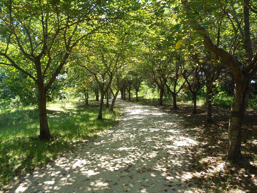 Elvis Bnb Incheon Dış mekan fotoğraf