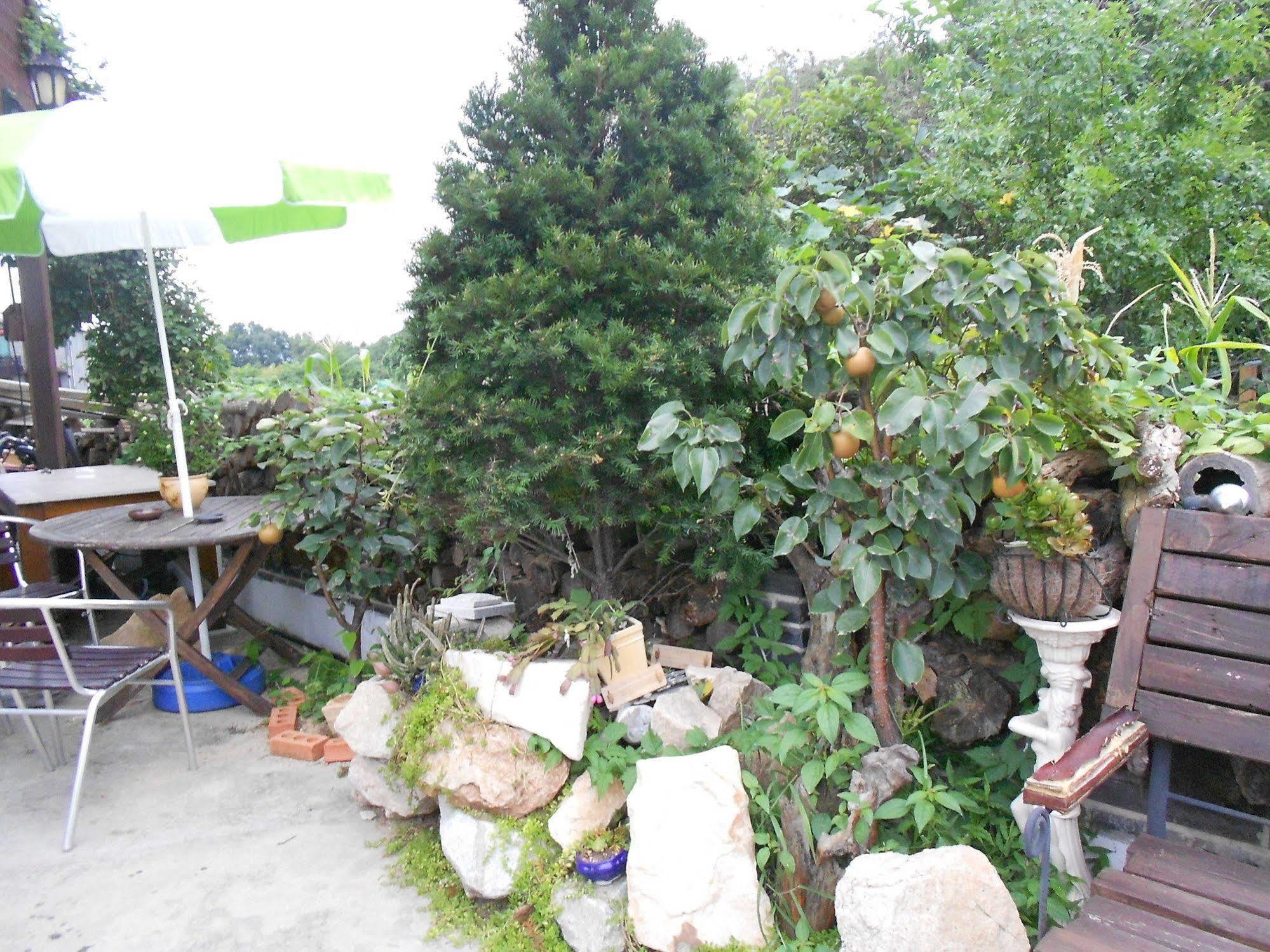 Elvis Bnb Incheon Dış mekan fotoğraf